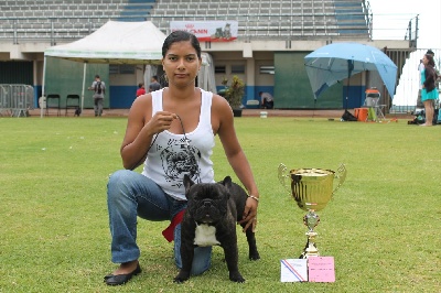 De La Vallée Des Marsouins - Résultats Exposition Canine avec C.A.C.S 2012