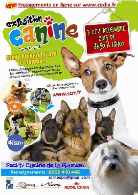De La Vallée Des Marsouins - Exposition Canine les 7 et 8 Décembre 2013 au Tampon