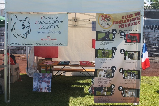 De La Vallée Des Marsouins - Résultats Exposition Canine avec CACS 2014